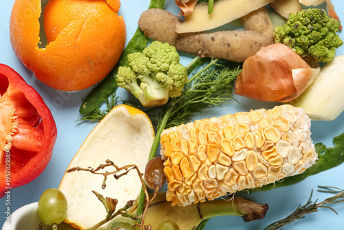 Different organic waste on ...