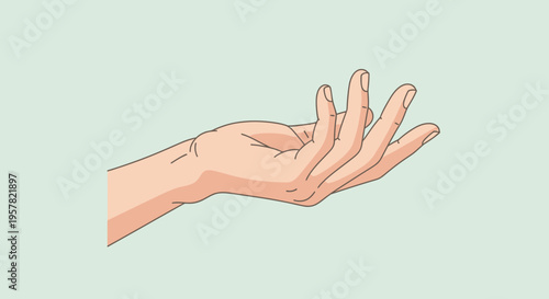 Wallpaper Mural Outstretched hand illustration against a light green background showing palm and fingers Torontodigital.ca