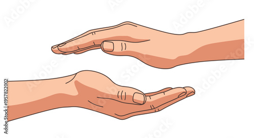 Wallpaper Mural Two hands gesture holding or protecting isolated on white background Torontodigital.ca