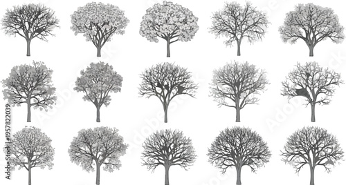 Set of 15 detailed vector tree silhouettes, featuring various deciduous and evergreen species in different seasonal states, perfect for architectural rendering, landscape design