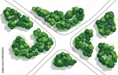 Top-down aerial view vector illustration of a green park with various tree clusters and bushes, ideal for architectural plans, landscape design, city maps, and environmental graphics