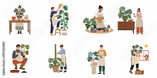 Flat vector illustration set of people engaged in various houseplant care activities like watering, pruning, and repotting monstera plants.
