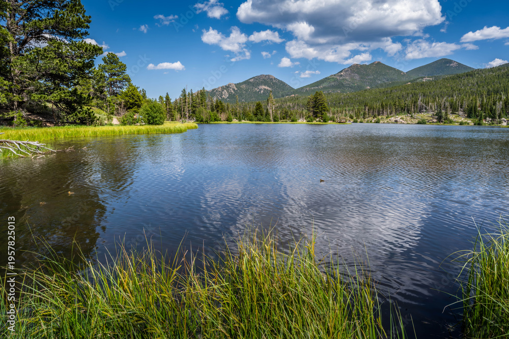 Obraz premium Scenic Rocky Mountain Landscape with Evergreen Hillside in Rocky Mountain NP, Colorado
