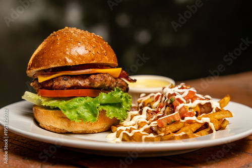 Photography Cheeseburger with loaded french fries serving on plate