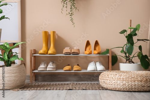 Stylish shoe stand with hou...