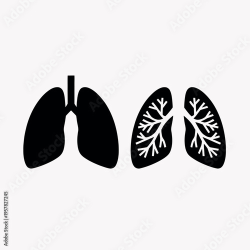 human lungs simple illustration, bronchial tree and lung lobes anatomy diagram medical respiratory system vector