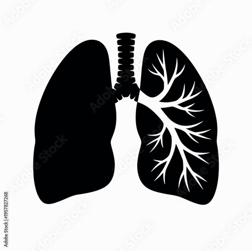 human lung diagram simple style, bronchial tree and lobes anatomy for healthcare medical education vector illustration