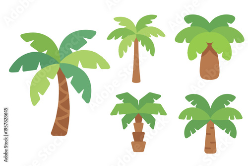 Tropical palm tree collection with different coconut tree shapes flat vector illustration