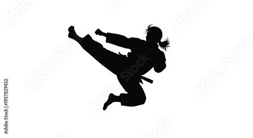 A dynamic female martial artist executing a kick a striking silhouette
