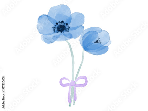 アネモネ　愛らしい青いアネモネの花束　水彩イラスト