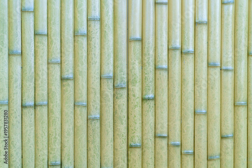 Vertical light green and yellow bamboo sticks texture background. Natural pattern of bamboo poles used for wall decoration or fence. Eco-friendly natural material for modern design and architecture.