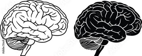 Human brain vector icon set and anatomy silhouette isolated on white background, medical illustration for neurology, psychology, mental health awareness, and artificial intelligence.