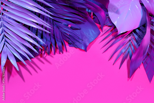 Different neon tropical lea...