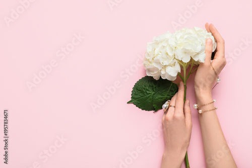 Female hands with white hyd...
