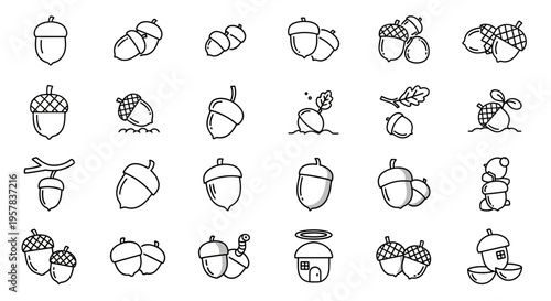 Set of various acorn line art illustrations isolated on white background