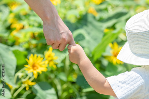 A father and daughter holding hands in a sunflower field