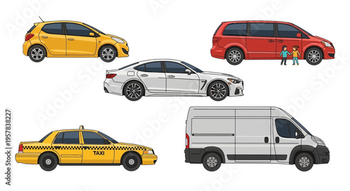 Variety of colorful cars and vehicles in vector style on white background