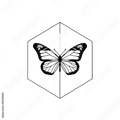 Butterfly Inside Hexagon Isolated on White Background