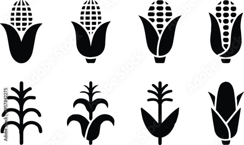 corn icon set vector cob husk kernel stalk agricultural symbols
