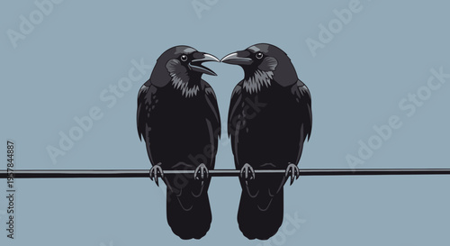 Two black birds sitting on wire.