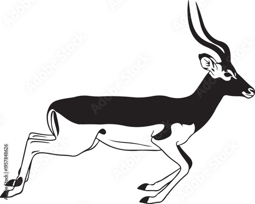 Vector black and white antelope illustration