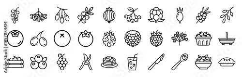 Botanical Berry Varieties and Harvesting Tools Minimalist Monoline Geometric Line Art for Healthy Food Branding and Organic Gardening.