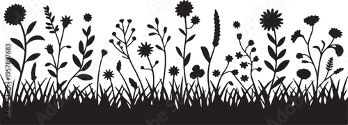 Black silhouette of wild grasses and diverse flowers, meadow landscape border, nature's beauty.
