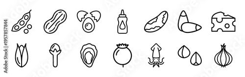 Food Allergen Warning Icons and Ingredient Sensitivity Labels in Minimalist Geometric Monoline Style for Commercial Packaging Design