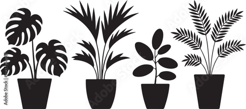 Collection of potted plant silhouettes on transparent background indoor foliage green leaf green leafy species