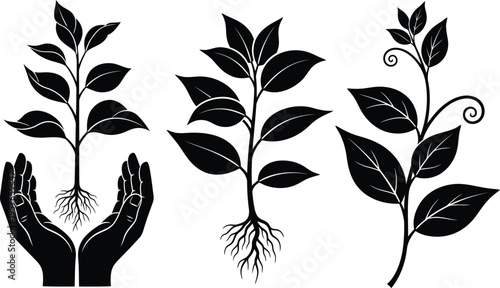 Illustration of plant growth stages with human support