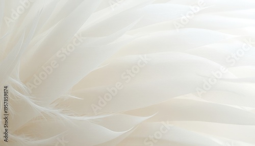 Ethereal delicate layered organic forms for elegant and serene backgrounds, presentations, and artistic projects