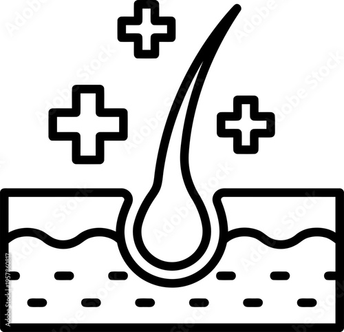 Hair Growth Skin Cross Section.