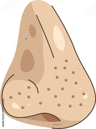 Human Nose Illustration Closeup.
