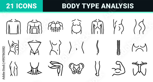 Human Body Types and Physiology Silhouette Set: Minimalist Monoline Outline Icons for Medical and Fitness UI Design Analysis.