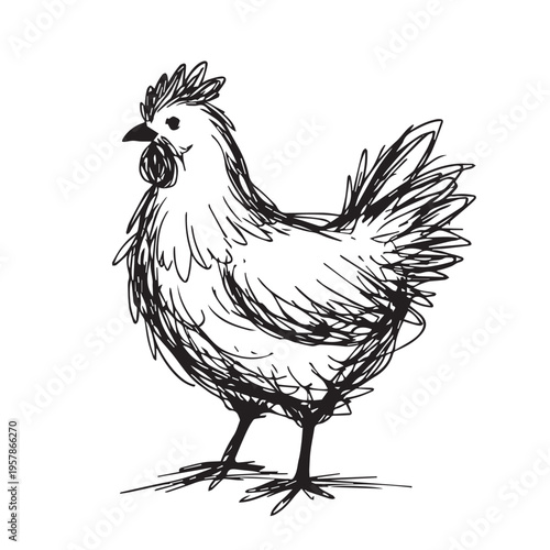 A hand drawn vector draft of a hen, created with sketchy lines and minimal detail, expressing an organic and artistic look in a simple and unfinished style.