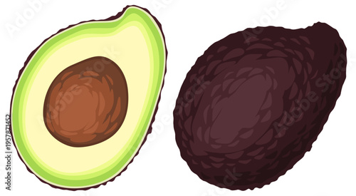 アボカド　断面