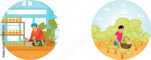 Growing and harvesting vegetables in controlled and natural environments