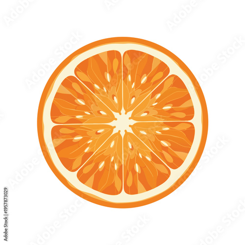 Slice of vibrant orange citrus fruit, showing juicy segments and pith