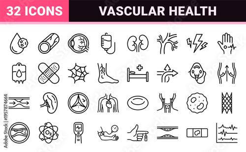 Vascular Health and Circulatory System Anatomy Minimalist Monoline Line Art Symbols for Medical Education and Hematology Branding