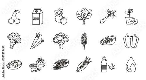 Variety of fresh fruits vegetables and healthy food icons for nutrition and wellness concepts