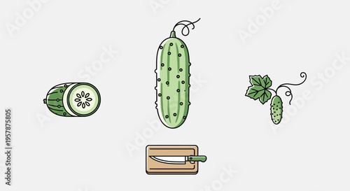 Cucumber slices and peeler illustration.