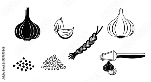 Black and white onion illustrations set.