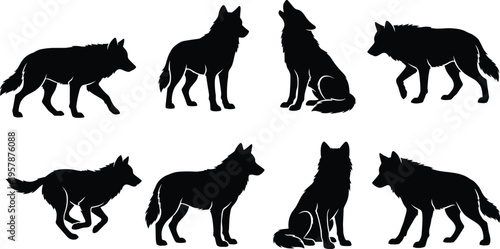 Black wolf silhouettes set with howling, running, standing, and sitting poses isolated on white background for wildlife nature vector design elements.