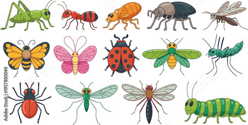 Insects and bugs vector set, cartoon butterfly, ladybug, ant, and caterpillar icons for nature and education