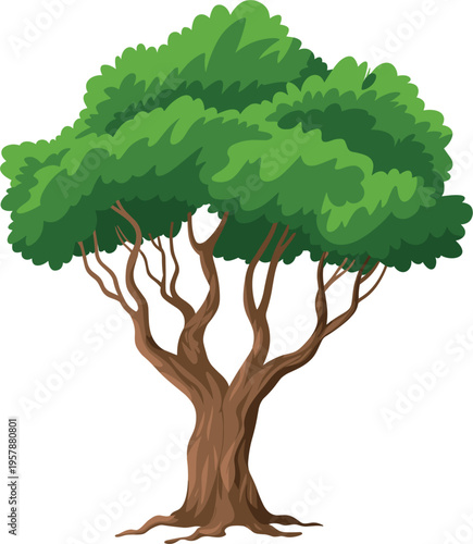 Green deciduous tree vector illustration, isolated oak or maple with thick foliage for nature and landscape design