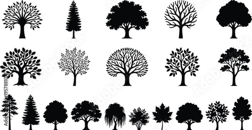 Forest tree silhouettes set with oak, maple, pine, and willow, black vector icons for nature landscape design isolated on white background.