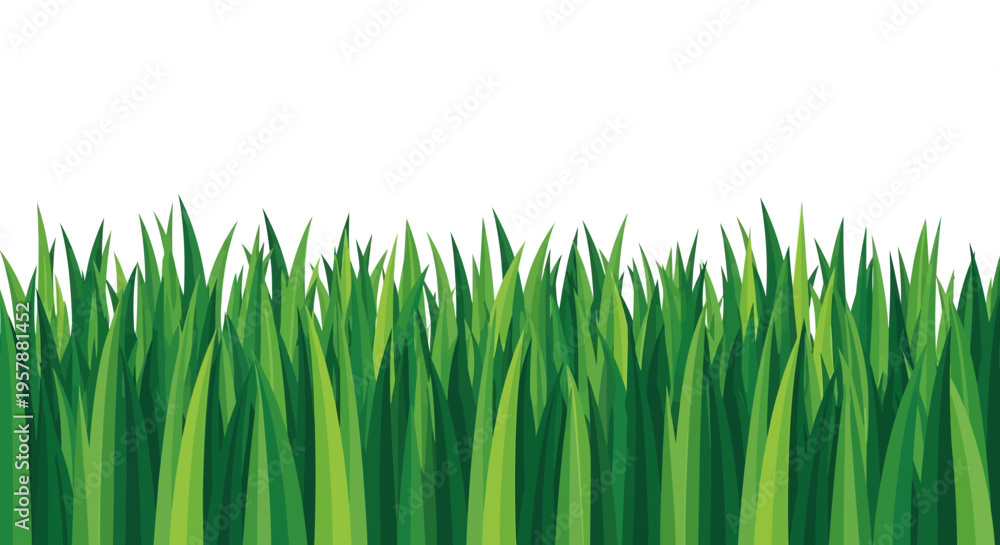 Obraz premium Vibrant green grass blades border vector illustration isolated on white background