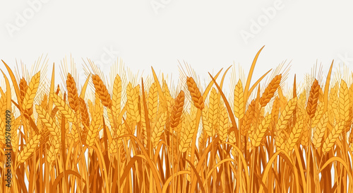 Golden Wheat Stalks Illustration, Harvest Season Background for Bakery, Flour, and Agricultural Business Design