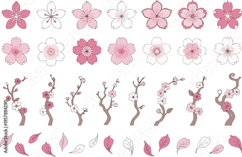 Collection of hand drawn cherry blossom flower heads branches and falling petals in pink shades Vector