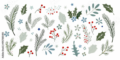 Delicate botanical illustration featuring winter foliage and festive berries